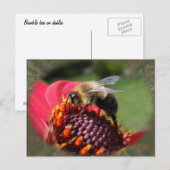 Hummel 195 ~ Postkarte (Vorne/Hinten)