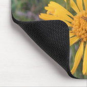 Hummel auf Balduina Mousepad (Ecke)