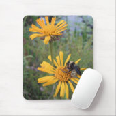 Hummel auf Balduina Mousepad (Mit Mouse)