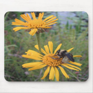 Hummel auf Balduina Mousepad