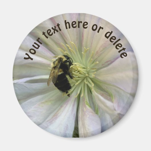 Hummel auf Clematis-Blüte Personalisiert Magnet (Vorne)