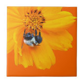 Hummel auf dem Kosmos Fliese (Vorderseite)