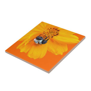 Hummel auf dem Kosmos Fliese