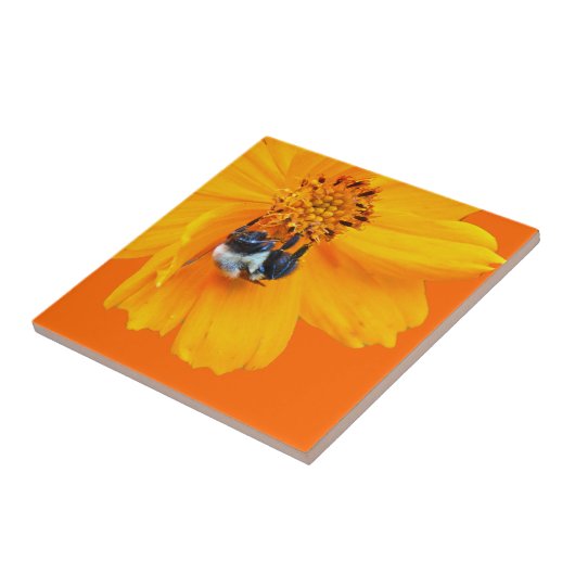 Hummel auf dem Kosmos Fliese (Seite)