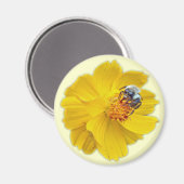 Hummel auf dem Kosmos Magnet (Vorderseite/Rückseite)