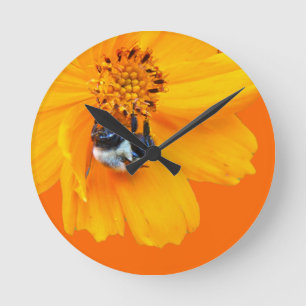 Hummel auf dem Kosmos Runde Wanduhr