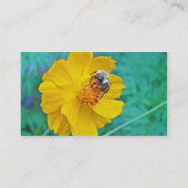 Hummel auf dem Kosmos Visitenkarte (Rückseite)