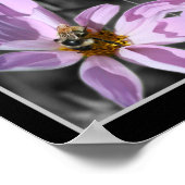 Hummel auf der Blume Kosmos Abstrakt Poster (Ecke)