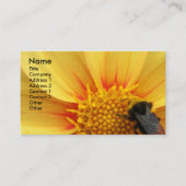 Hummel auf der Gelben Dahlia Visitenkarte (Vorderseite)