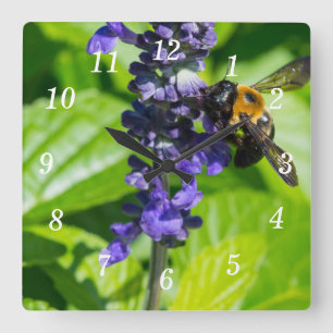 Hummel auf der Maueruhr von Salvia Quadratische Wanduhr