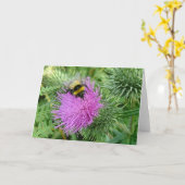 Hummel auf Distel Karte (Gelbe Blume)