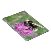 Hummel auf einem Thistle-Notebook Notizblock (Rechte Seite)