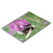 Hummel auf einem Thistle-Notebook Notizblock (Linke Seite)
