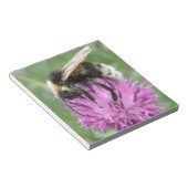 Hummel auf einem Thistle Notepad Notizblock (angewinkelt)