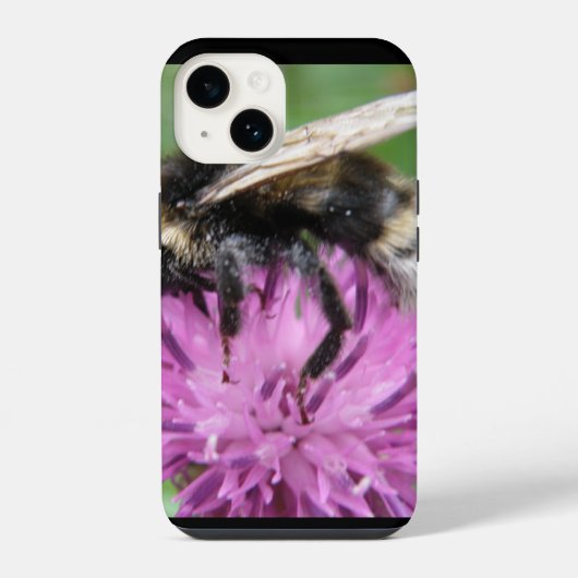 Hummel auf einer Distel iPhone Hülle (Rückseite)