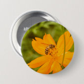 Hummel auf einer Schwefel-Kosmosblume Button (Vorne & Hinten)
