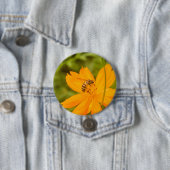 Hummel auf einer Schwefel-Kosmosblume Button (Beispiel)