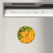 Hummel auf einer Schwefel-Schmuckkörbchen Magnet (In Situ (Geschirrspüler))