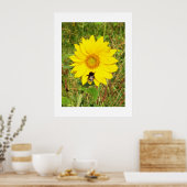 Hummel auf einer Sonnenblume Poster (Küche)