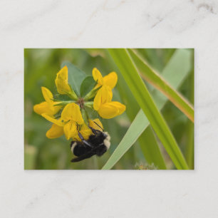 Hummel auf gelber Wildblume Visitenkarte