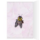 Hummel auf Hydrangea (Innen (Links))