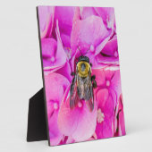 Hummel auf Hydrangea Fotoplatte (Seite)