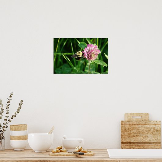 Hummel auf Klee Poster (Küche)