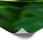 Hummel auf Klee Poster (Ecke)