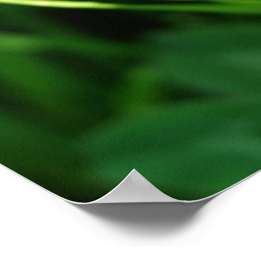 Hummel auf Klee Poster (Ecke)