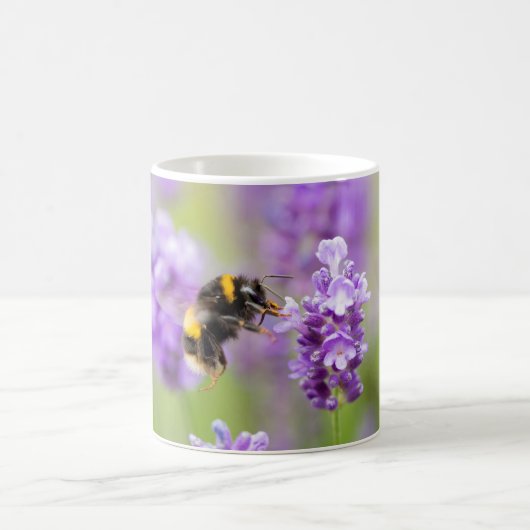 Hummel auf Lavendel Kaffeetasse (Mittel)