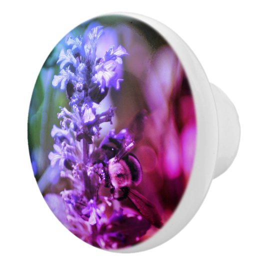 Hummel auf Lila Blume Abstrakte Farben  Keramikknauf (Rechts)