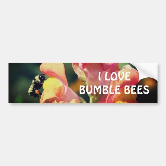Hummel auf Löwenmäulchen-Blume  Autoaufkleber (Vorne)