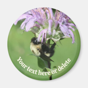 Hummel auf Monarda-Blüte Personalisiert Magnet