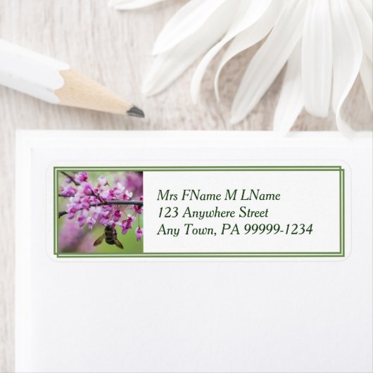 Hummel auf Redbud-Blüten (Insitu)