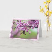 Hummel auf Redbud-Blüten Karte (Gelbe Blume)