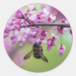 Hummel auf Redbud-Blüten Runder Aufkleber