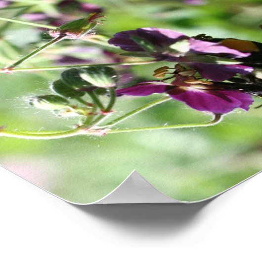 Hummel auf rosa Blume Mirror Abstrakt Poster (Ecke)