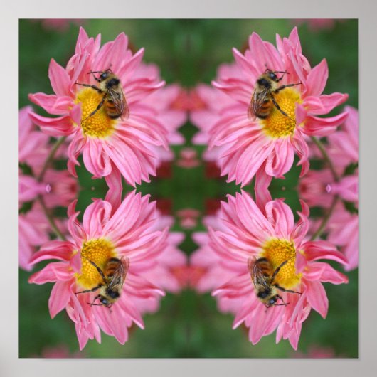 Hummel auf rosa Daisy Blume Abstrakt Poster (Vorne)