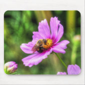 Hummel auf rosa Kosmos Mousepad (Vorne)