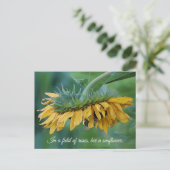Hummel auf Sonnenblume - Postkarte (Stehend Vorderseite)