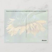 Hummel auf Sonnenblume - Postkarte (Rückseite)