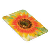 Hummel auf Sonnenblumen, Gemeindegarten Magnet (Rechte Seite)