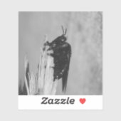 Hummel Aufkleber (Blatt)