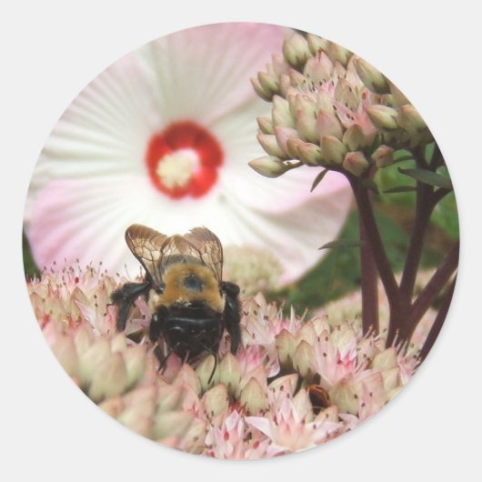 Hummel ~ Aufkleber (Vorderseite)