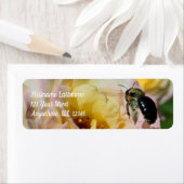 Hummel Bee fliegt in rosa Rose-Adresse (Insitu)