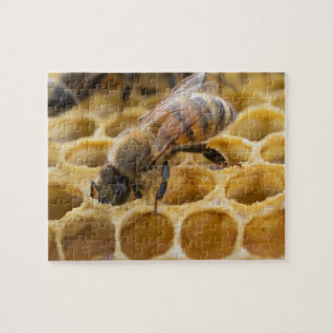 Hummel Bee Inside Honeycomb Jigsaw Puzzle