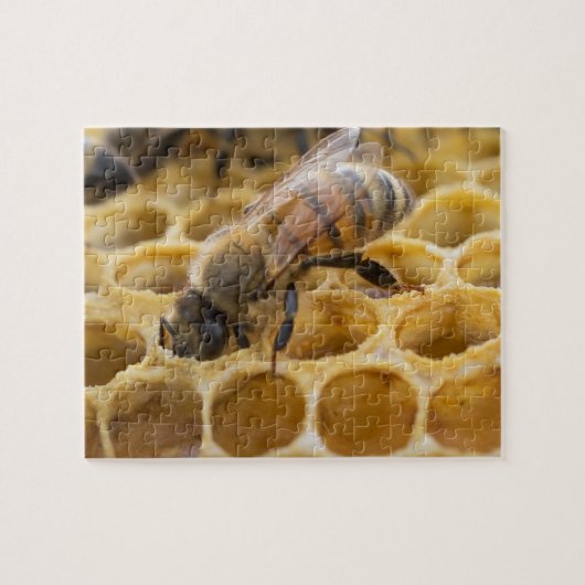 Hummel Bee Inside Honeycomb Jigsaw Puzzle (Horizontal)