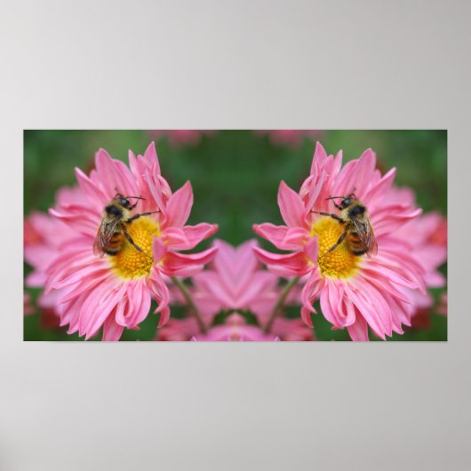 Hummel Bee On Pink Daisy Blume Mirror Abstrakt Poster (Vorne)