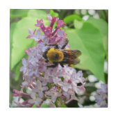 Hummel-Biene auf Flieder Fliese (Vorderseite)