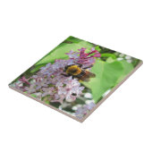 Hummel-Biene auf Flieder Fliese (Seite)